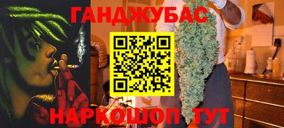 крисы Дубна